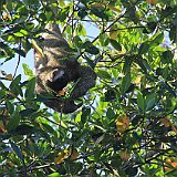 Costa Rica20150402-1550-0794